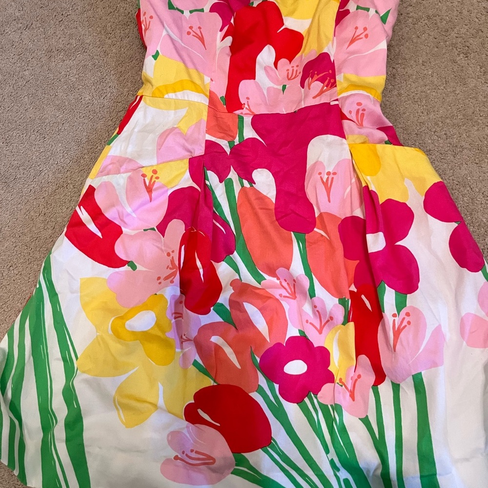 Lilly Pulitzer Floral Dress